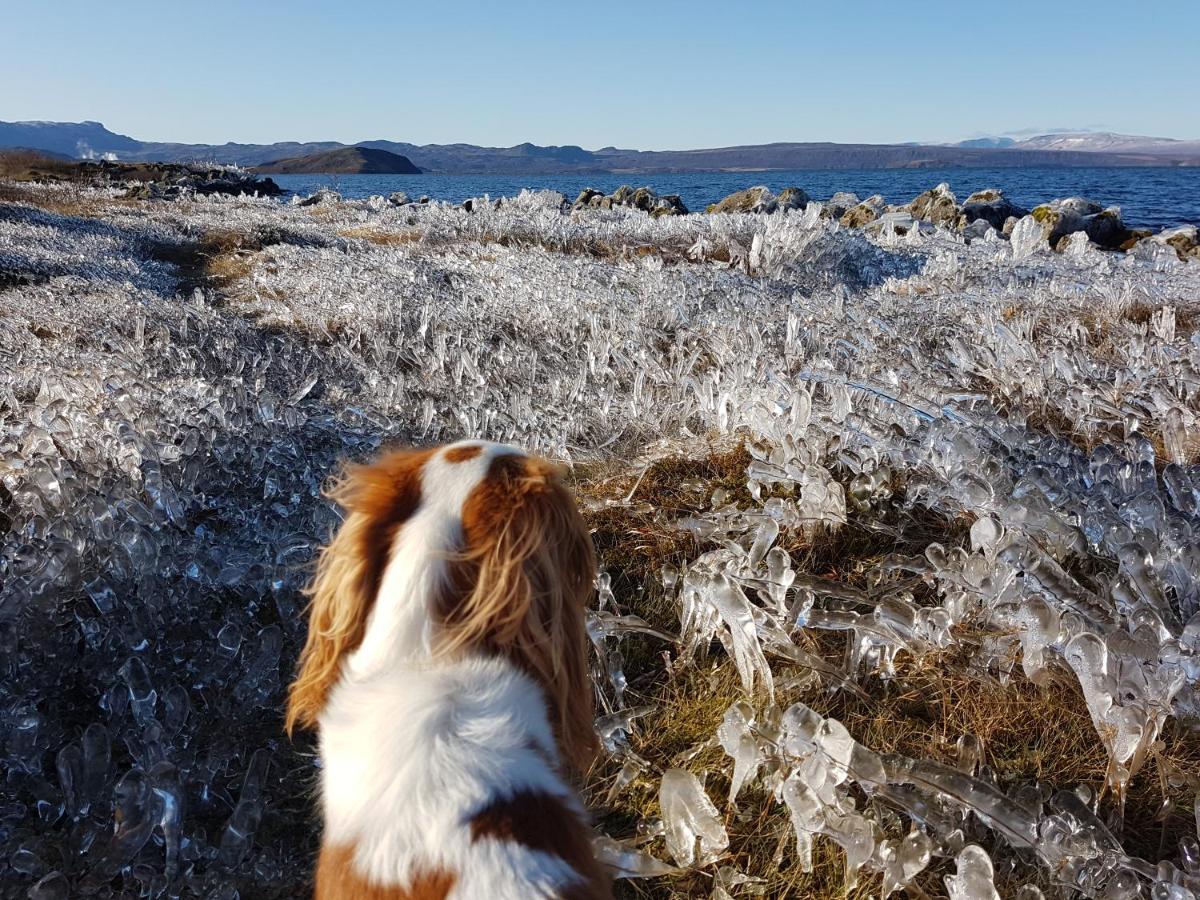 Thingvellir Lake Cottage Veithilundur Buitenkant foto
