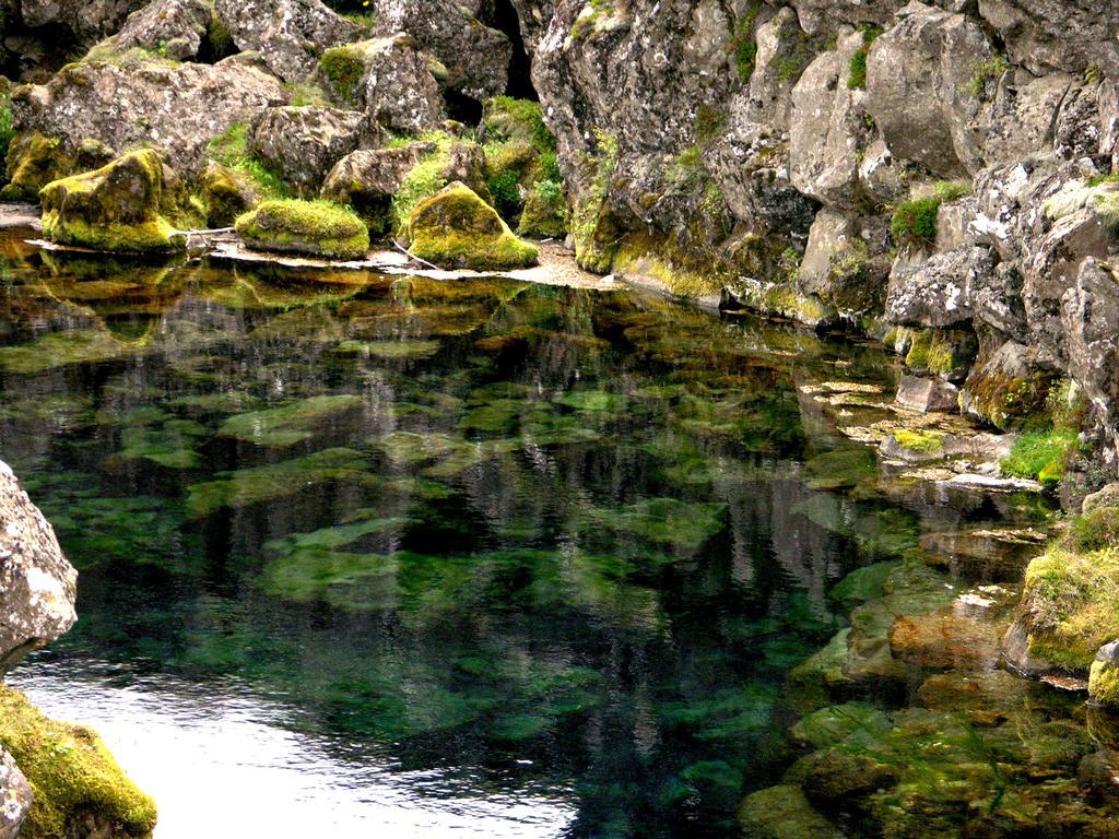Thingvellir Lake Cottage Veithilundur Kamer foto